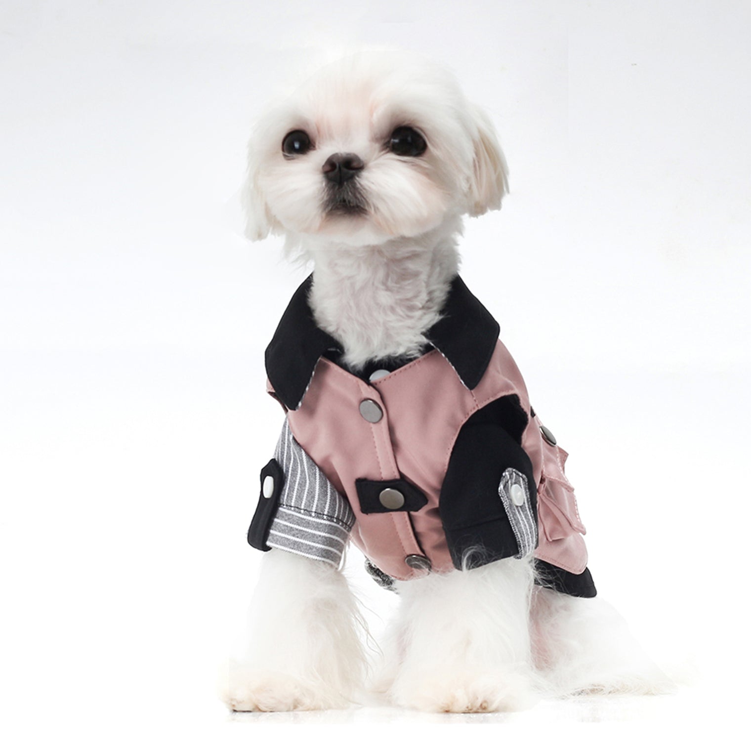 Dress Your Pet in Style with Our Latest Collection of Pet Workwear Clothes