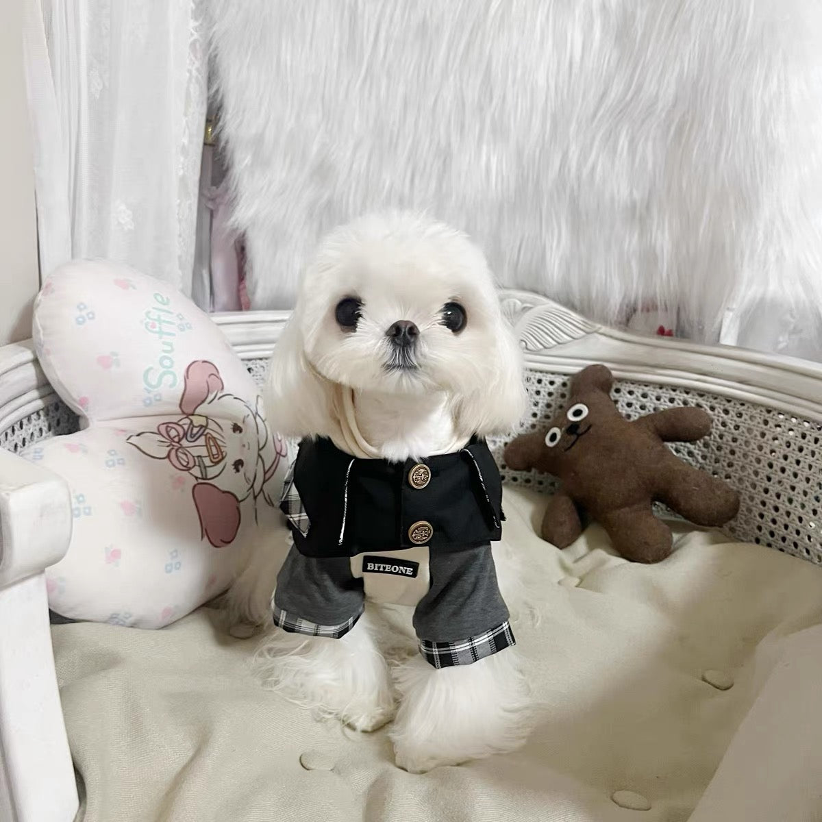 Timeless Sophistication: British-Inspired Pet Outfits for the Season