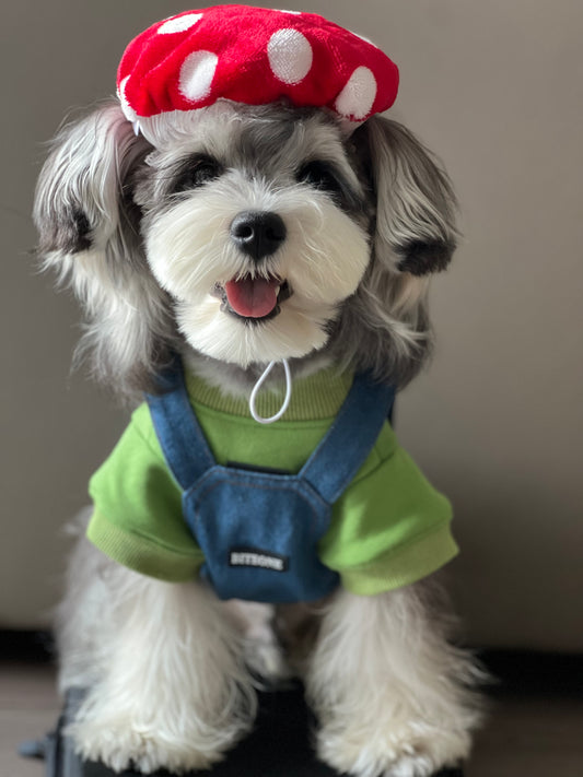 Unleash the Fun: Super Mario-Inspired Pet Outfits for a Nostalgic Adventure