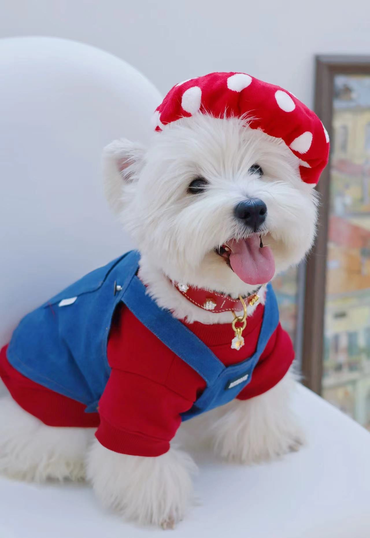 Relive Childhood Memories with Super Mario-Inspired Pet Outfits