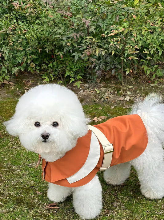 Discover the Best Orange Dog Vest with Leash Clip