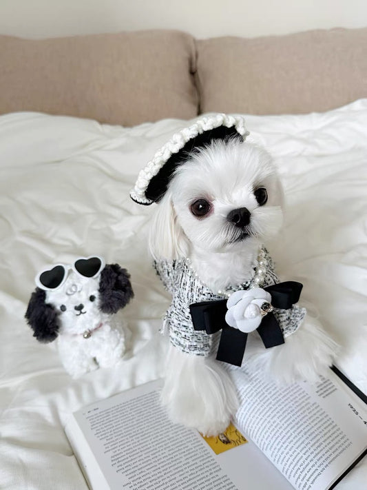 Posh Paws & Chic Tails: Elevating Pet Fashion in the UK