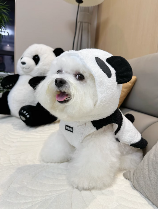 BITEONE’s 2024 Fall/Winter Collection: Panda Baby Style Coats for Cats and Dogs