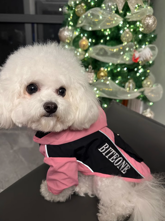 BITEONE's Future Warrior: The Ultimate Waterproof and Windproof Outdoor Coat for Your Pet This Autumn/Winter