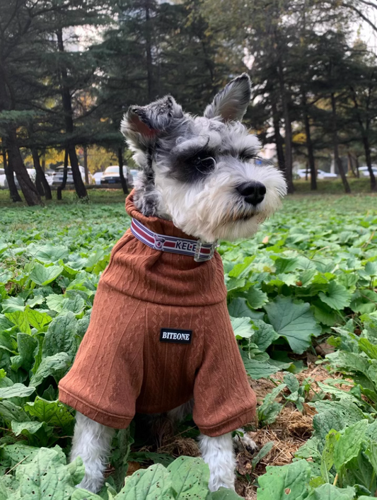 BITEONE's Autumn/Winter Collection: Vintage Caramel High-Neck Sweater for Cats and Dogs