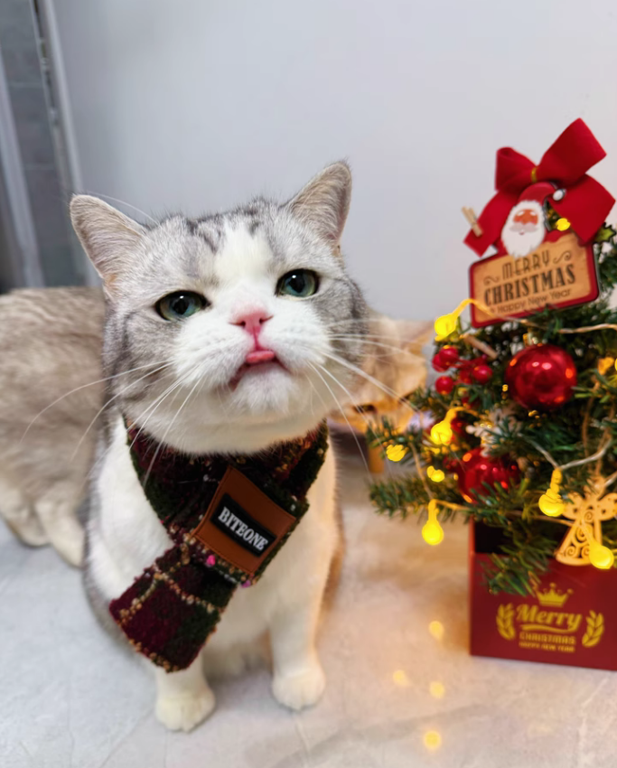 Christmas - Themed Wool Blend Pet Scarf for Cats and Dogs with Leather Accents