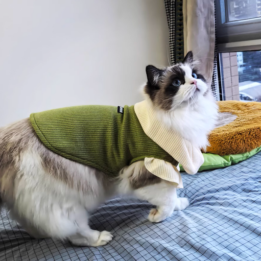 New Autumn/Winter Collection of Fairy - Tale Inspired Pet Clothes for Cats and Dogs