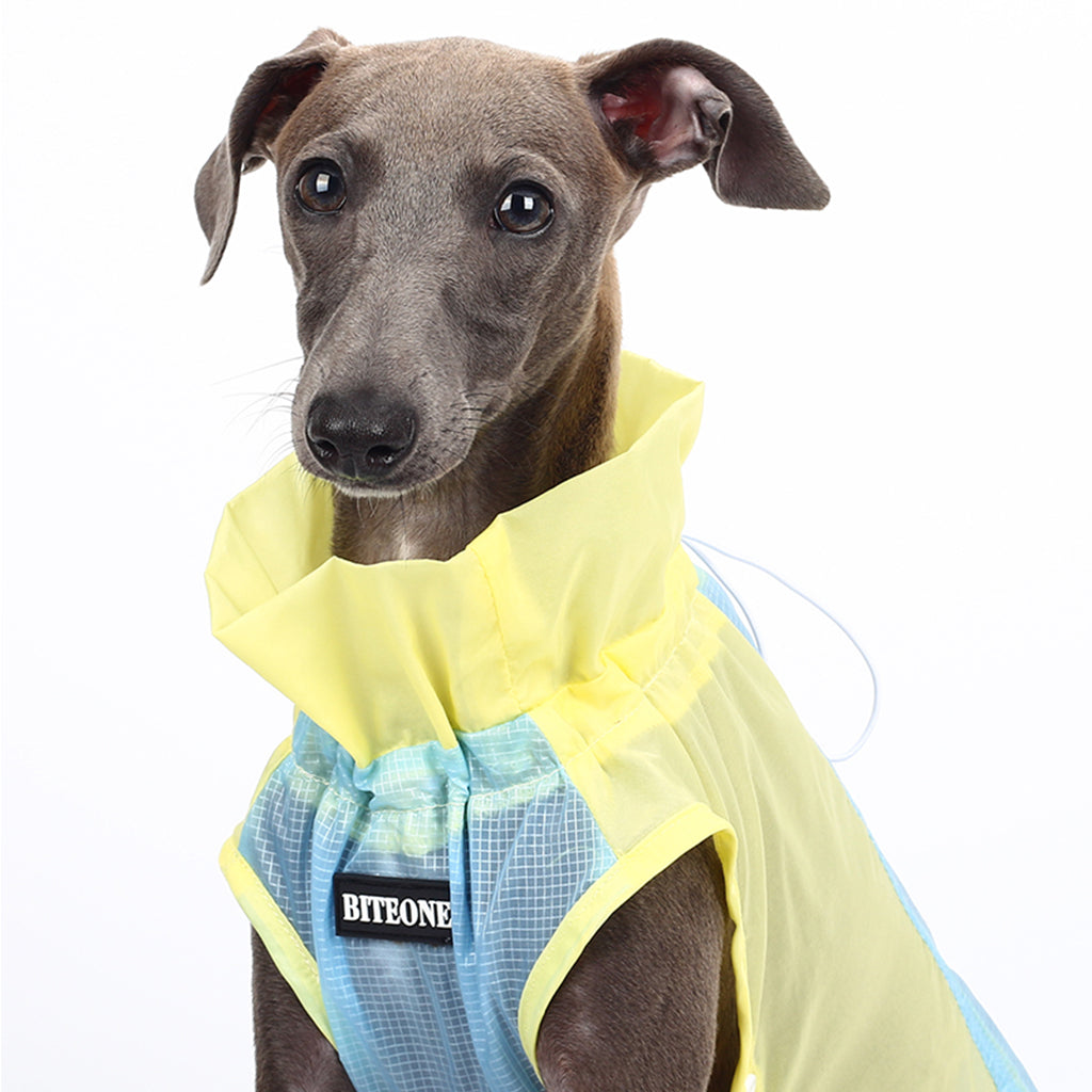 Sunny Smiles & Dry Tails: The 'SunShield Splash' Ultra-Thin Waterproof Pet Coat!