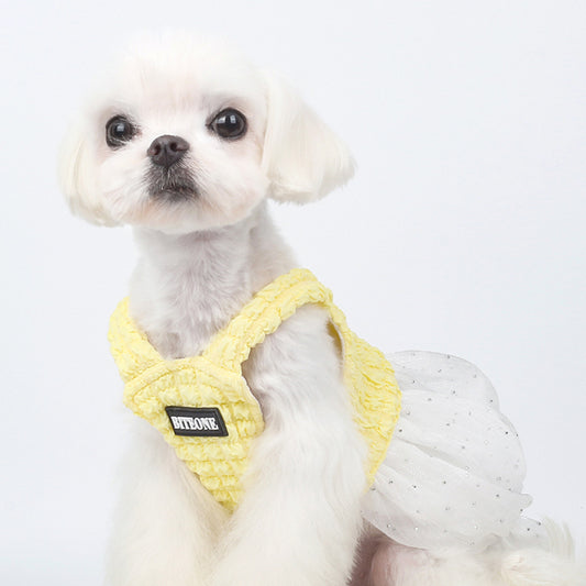 Pawsome Summer Makeover: Your Pup's Flirty & Fabulous Dress!