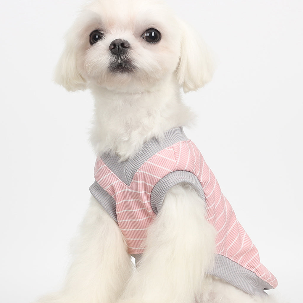 Strut in Style: The 'Rainbow Rumble' High-Stretch Pet Vest for Your Purr-fect Companion!