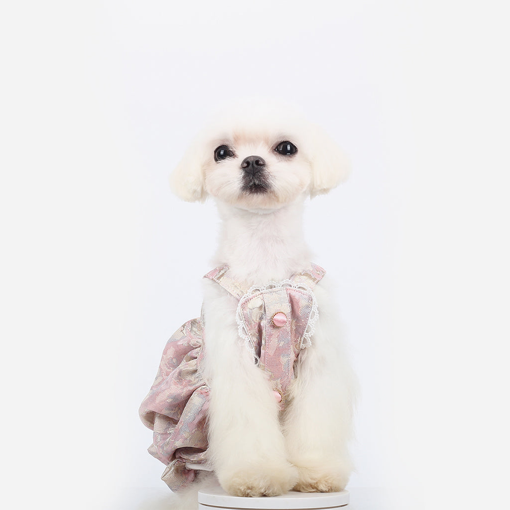 Embrace the Charm of Spring and Summer with BITEONE's New Chinese-Inspired Pumpkin Dresses for Cats and Dogs