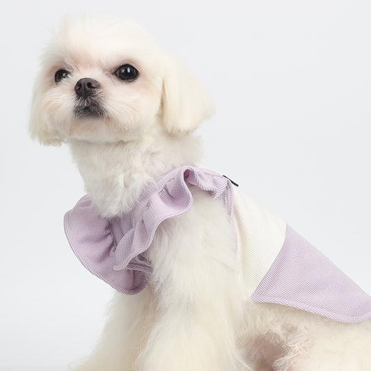 Dress to Impress: The 'Pet Prance' Swing Dress for Your Furry Fashionista!