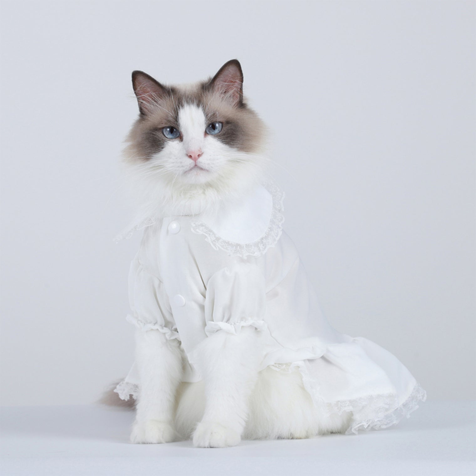 Elevate Your Pet's Style with the Elegant French Chiffon Shirt for Spring and Summer