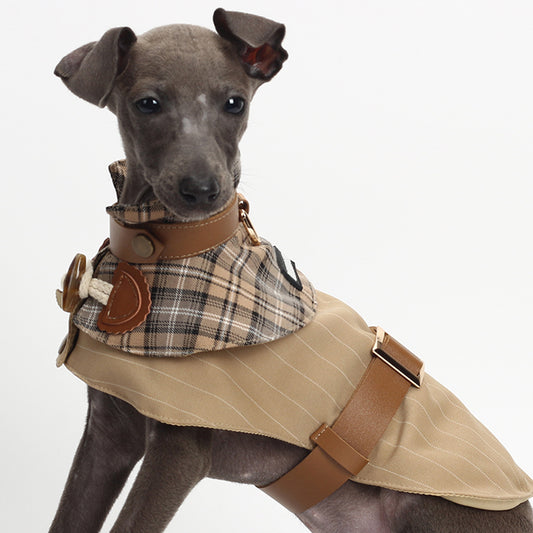 Tail Wagging Trenches: The 'Dapper Drizzle' Pet Cape for Your Stylish Sidekick!