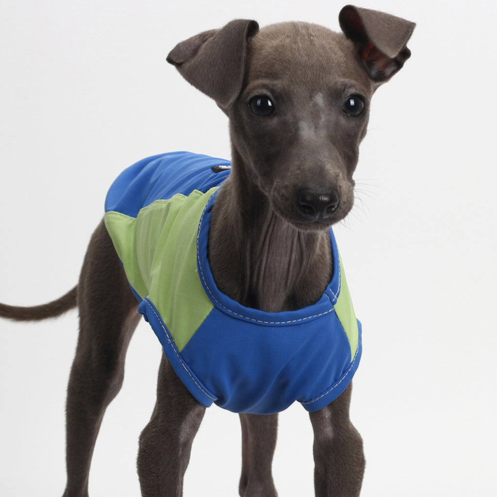 Sun's Out, Chill Out: The 'Cool Canine' Sun-Protective Vest for Your Furry Best Friend!