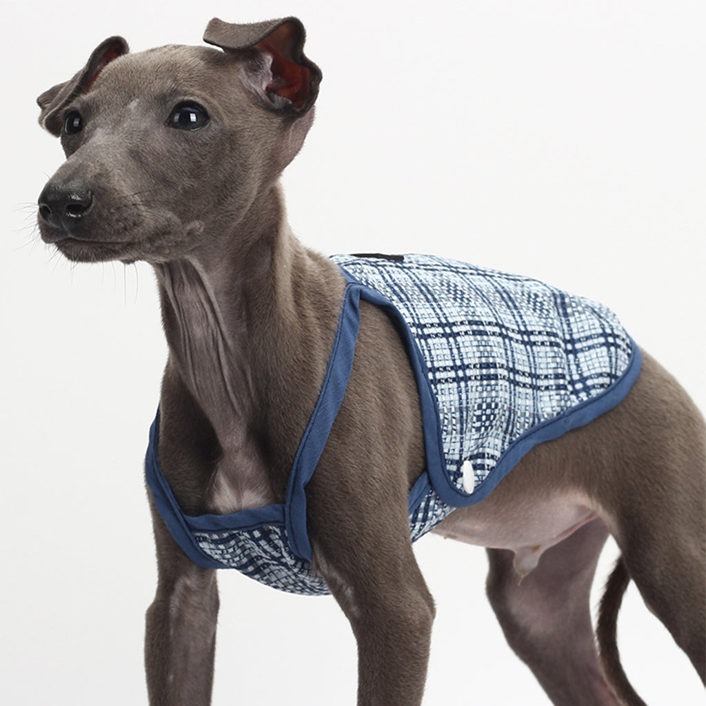 Gingham Glam: The 'Paw-some Plaid' Pet Vest for Your Stylish Sidekick!