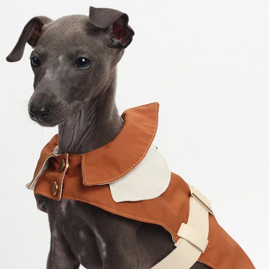 Fashion Meets Function: The Ultimate Pet Windbreaker for All-Weather Adventures!