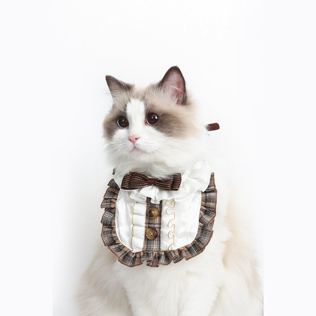 Pet Collars That Make Your Pet Stand Out