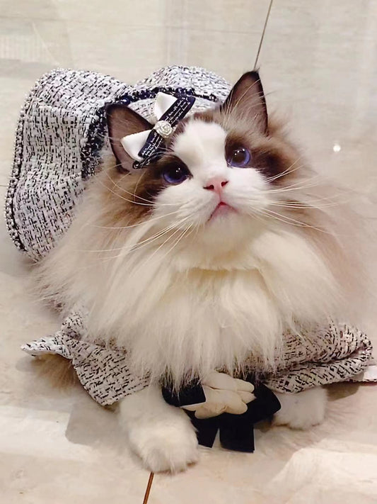 Pawsitively Pawshionable: Dressing Up Your Furry Bestie in Britain's Chicest Pet Couture