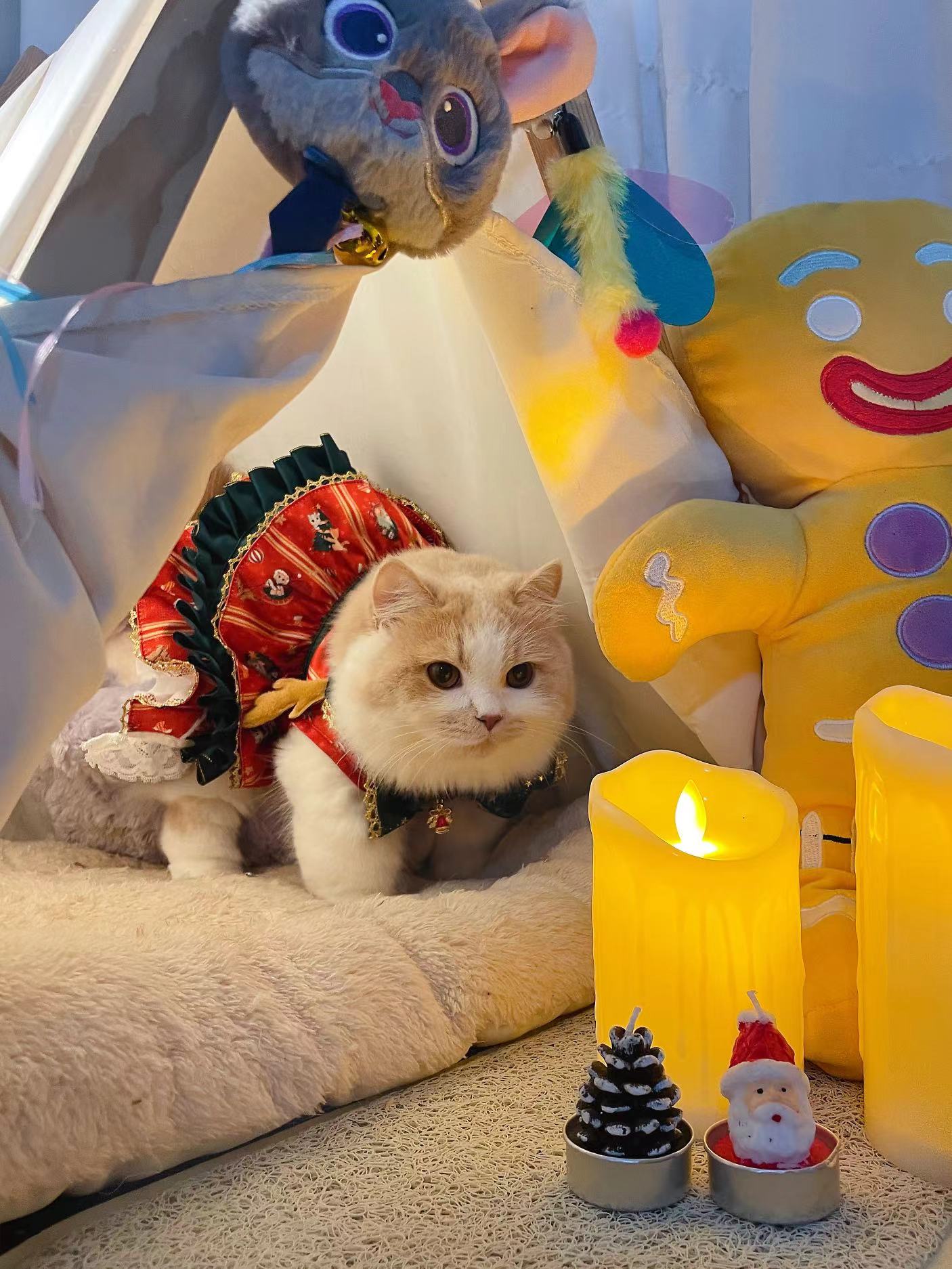 Santa Claws is Coming to Town: Purrfectly Festoon Your Feline This Christmas