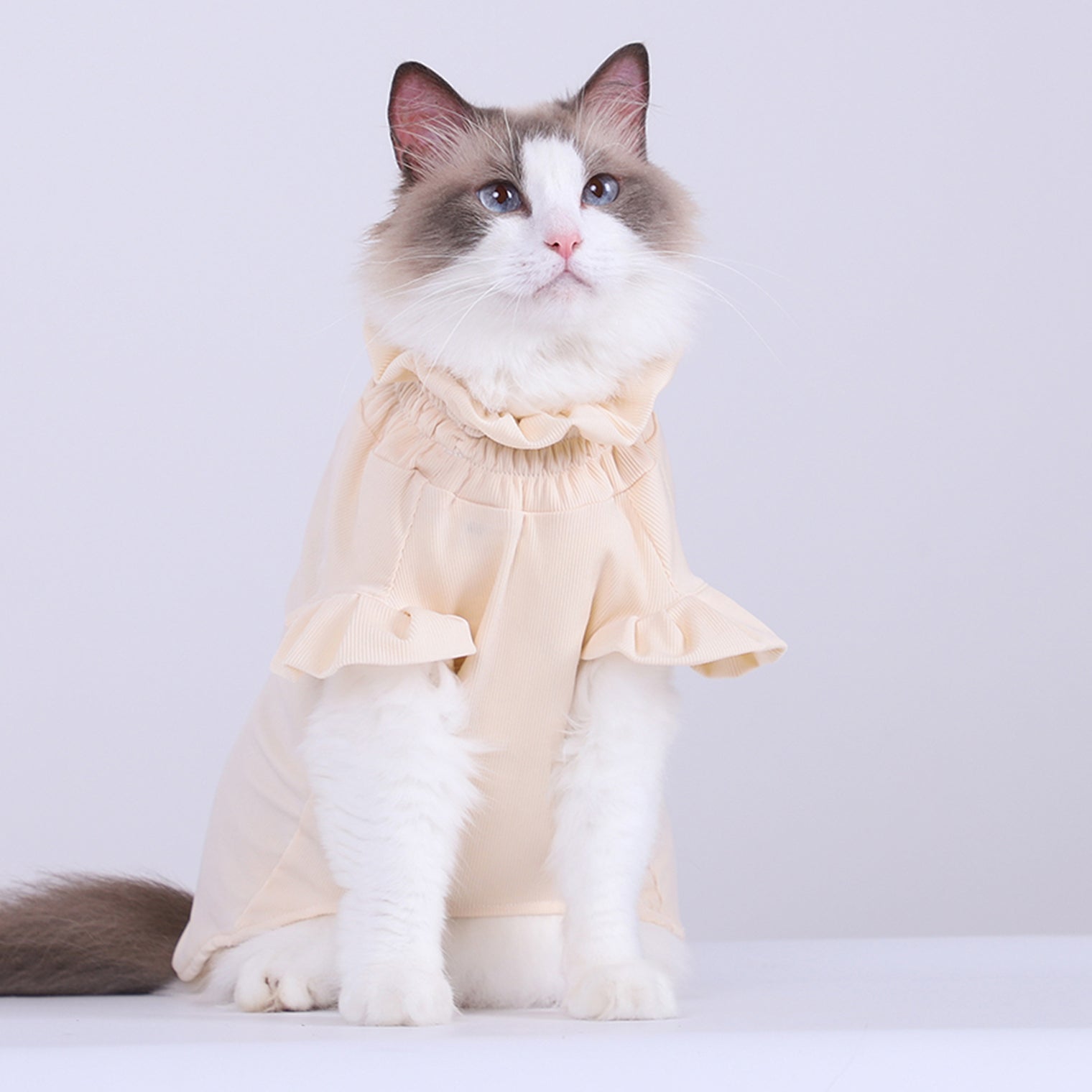 Pamper Your Pet in Style: Introducing Our Adorable Pet Pajamas!