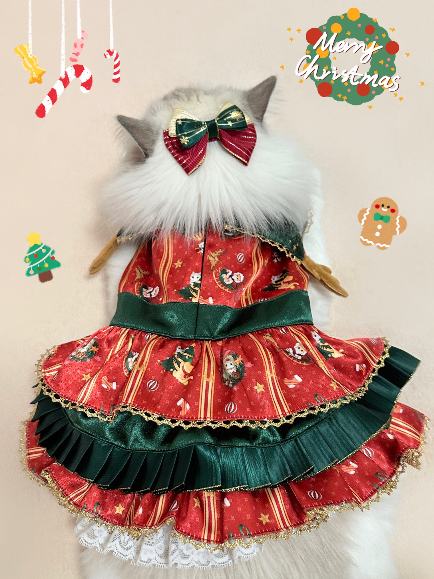 Festive Felines: Unwrap the Magic with Our Christmas Cat Couture Collection