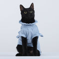 Load image into Gallery viewer, Cat And Dog Home Vest
