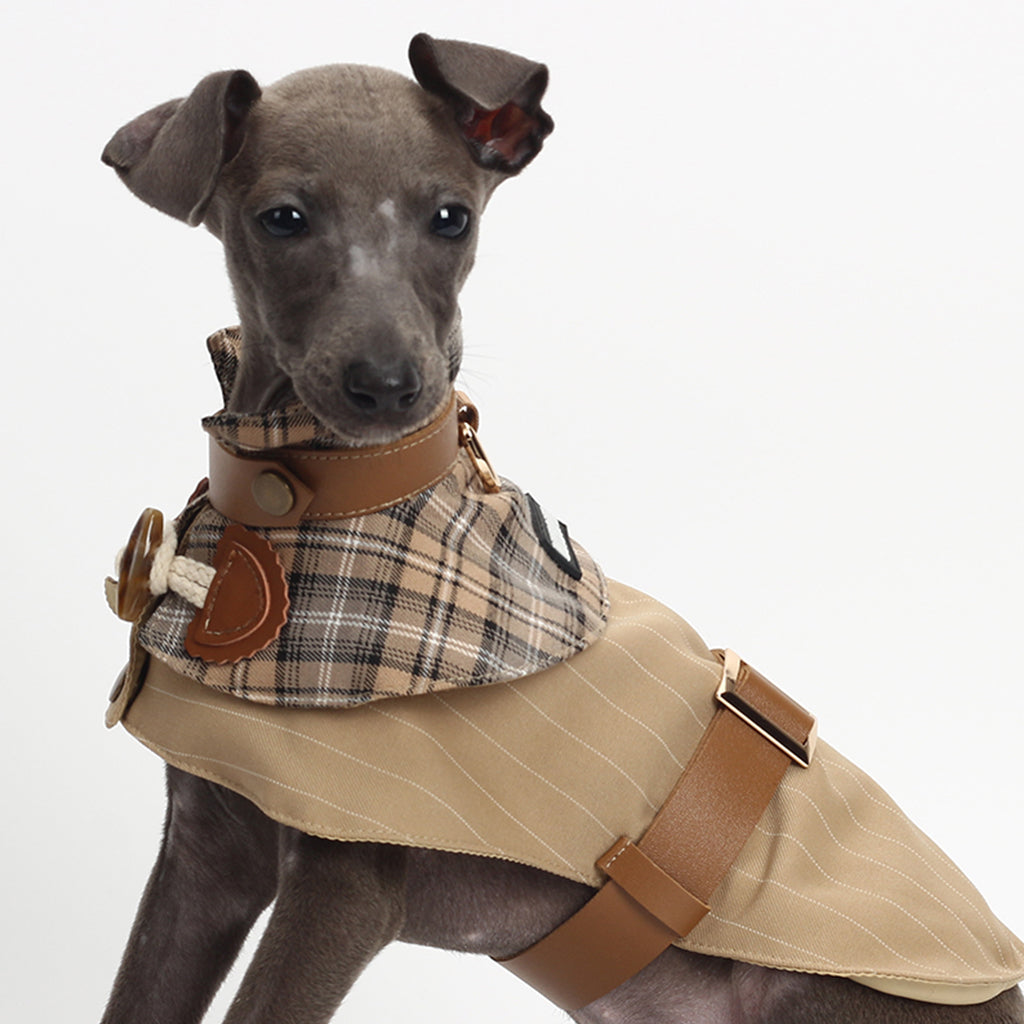 Dog Trench Coat