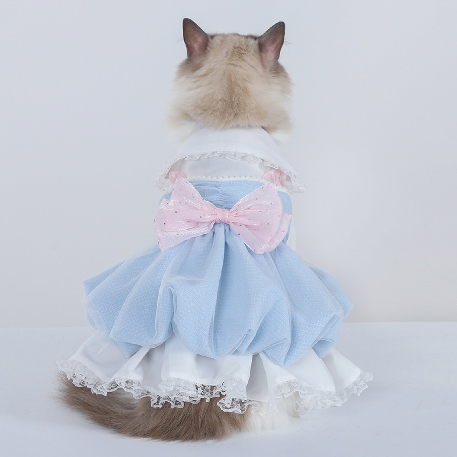 Cat and Dog Summer Macaron Strap Skirt