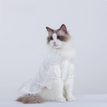 Load image into Gallery viewer, Cat, Dog, Princess Dress
