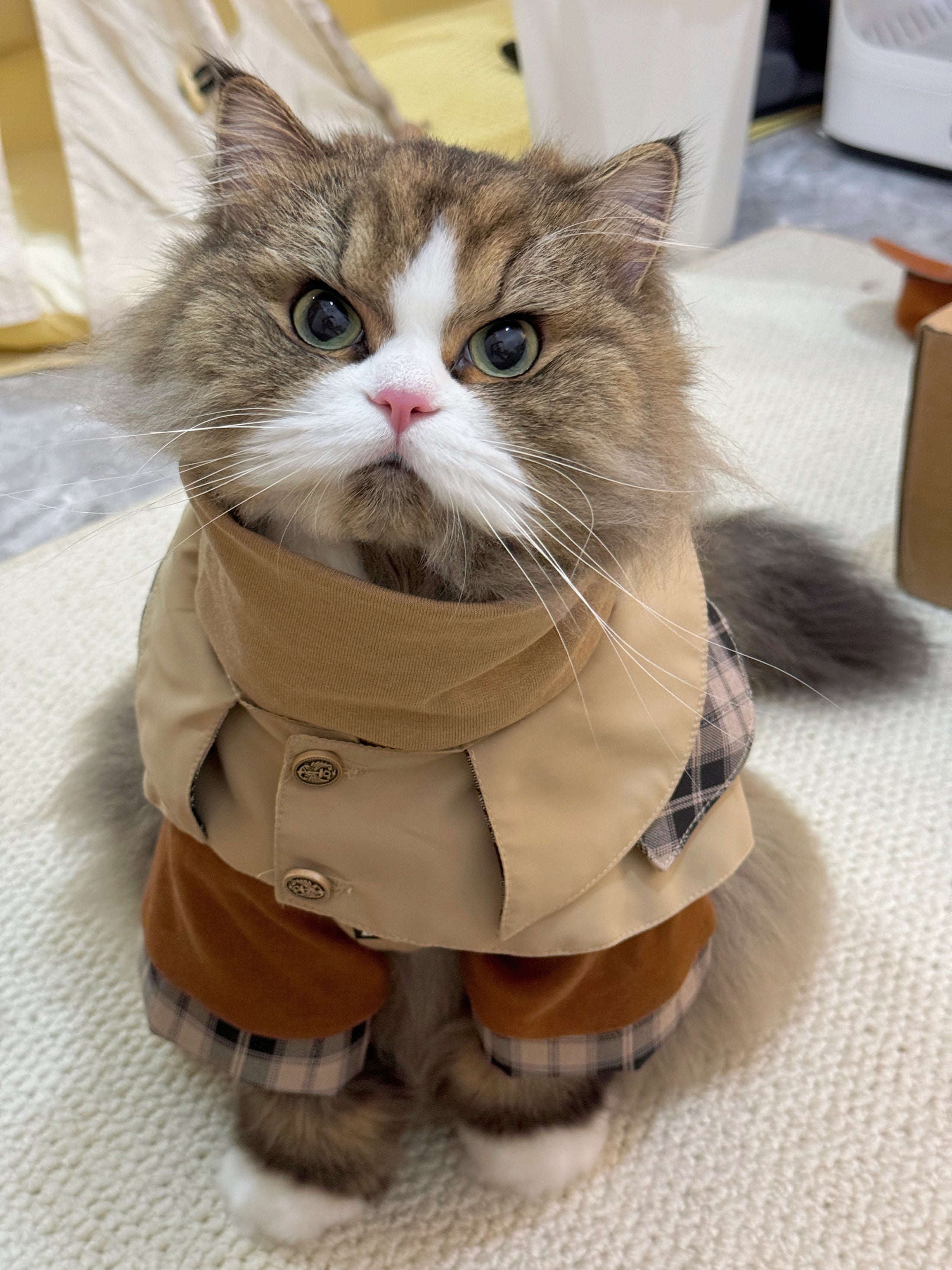 Dog And Cat Shirt + Vest