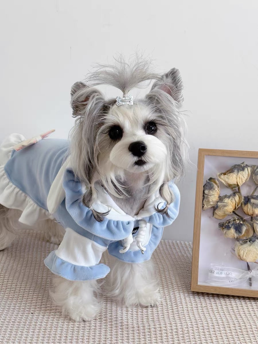 Cat And Dog Coat With Hat