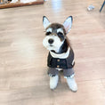 Load image into Gallery viewer, Dog Sweater + Trench Coat
