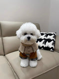 Load image into Gallery viewer, Dog Sweater + Trench Coat
