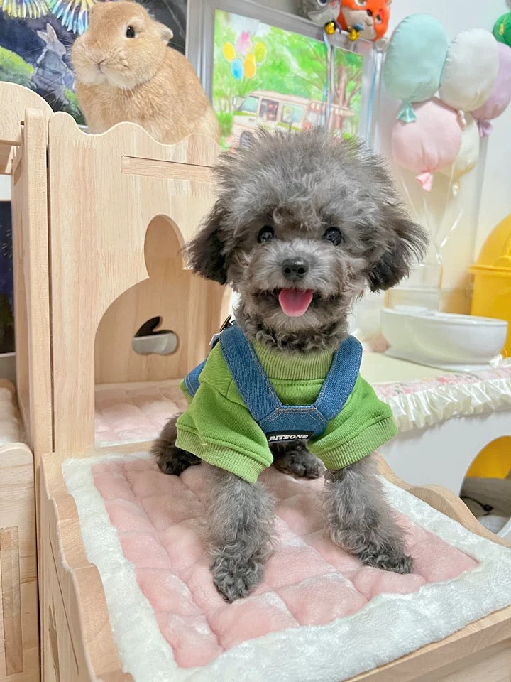 Dog Hoodie + Cowboy Suspenders