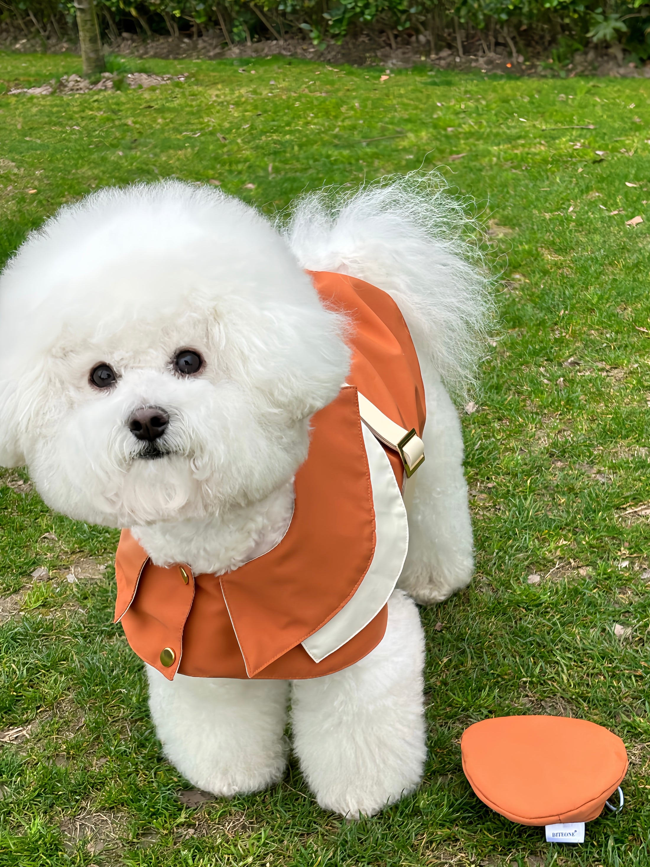 Dog Vest With Traction Buckle