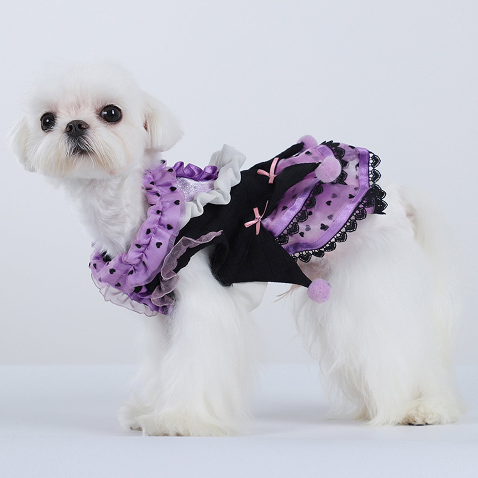 Cat Dog Marzis Party Dress