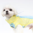 Load image into Gallery viewer, Dog Summer Clothes
