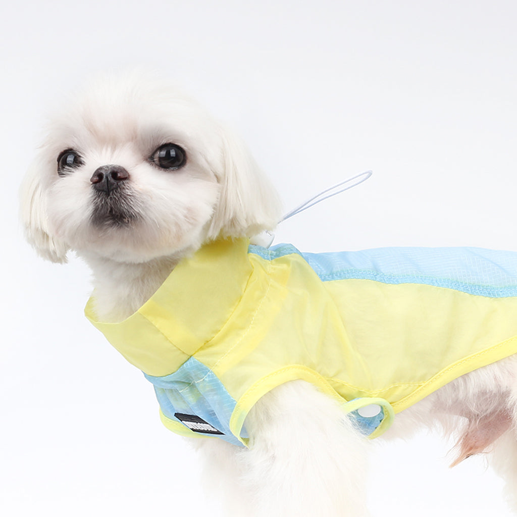 Dog Summer Clothes