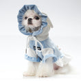 Load image into Gallery viewer, Cat And Dog Coat With Hat
