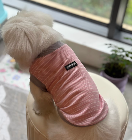 Dog Vest