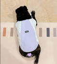 Load image into Gallery viewer, Cool Vest For Dogs
