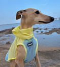 Load image into Gallery viewer, Dog Summer Clothes
