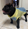 Load image into Gallery viewer, Dog Summer Clothes
