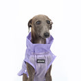 Load image into Gallery viewer, Dog Summer Clothes
