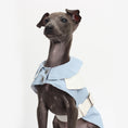 Load image into Gallery viewer, Dog Vest With Traction Buckle
