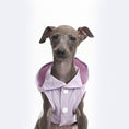 Load image into Gallery viewer, Summer Clothes For Dogs
