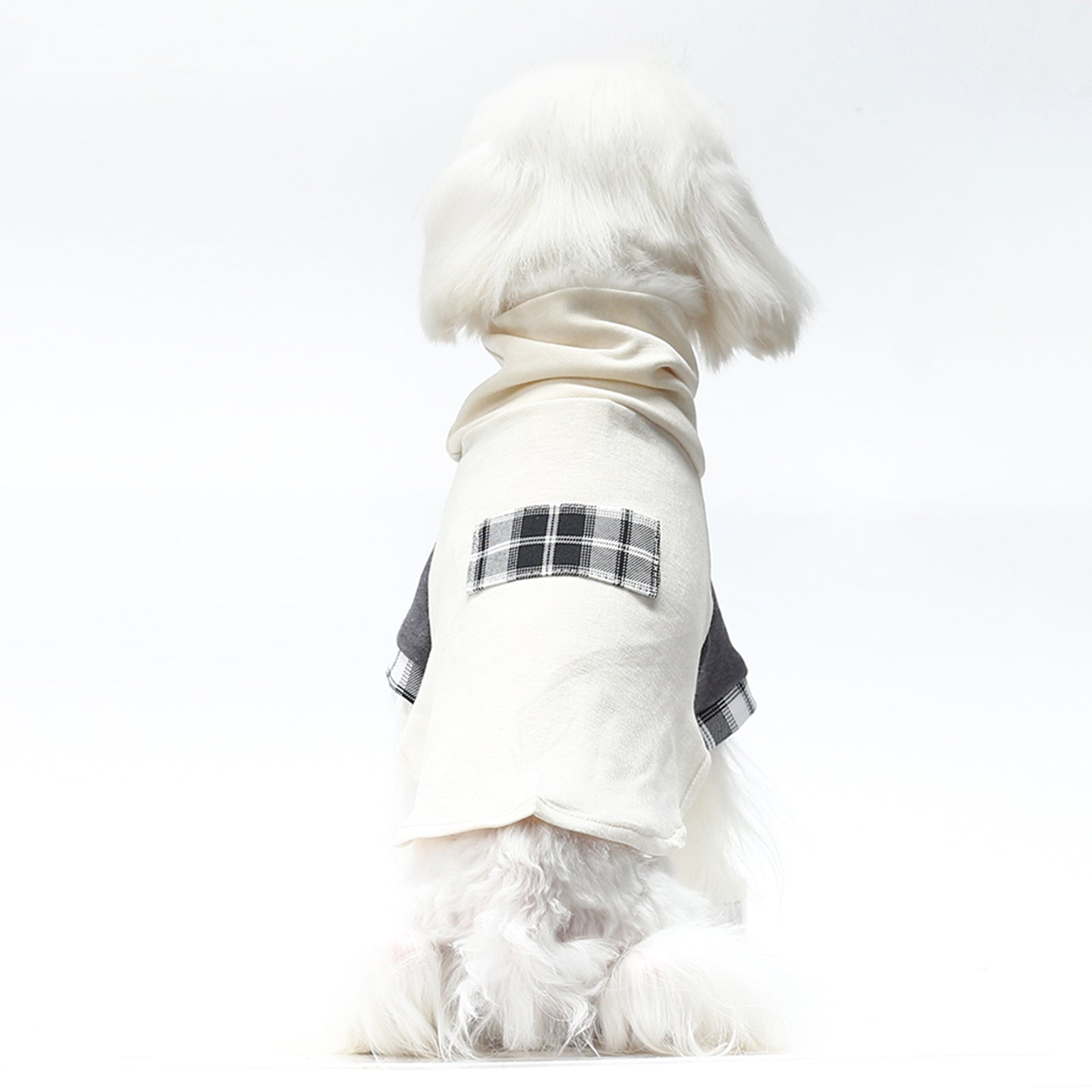 Dog Sweater + Trench Coat