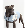 Load image into Gallery viewer, Dog Vest With Traction Buckle
