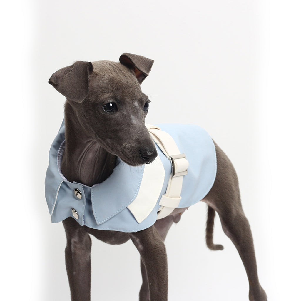 Dog Vest With Traction Buckle